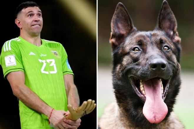 <a href='http://gdjwpj.cn/team/taiyang/' target='_blank'><u>太阳</u></a>报：马丁内斯花2万镑买下一只警犬，来保护世界杯奖牌和家人