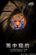 辽宁男篮发布对阵广东队的赛前海报：莞中窥豹